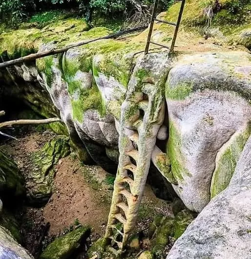 The Fossilized Ladder of the Dard River: When Nature Turns the Ordinary Into Stone