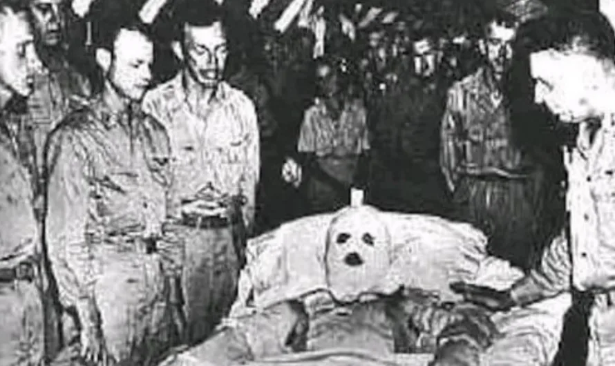The Unyielding Courage of Henry E. “Red” Erwin: A Hero’s Sacrifice in the Skies
