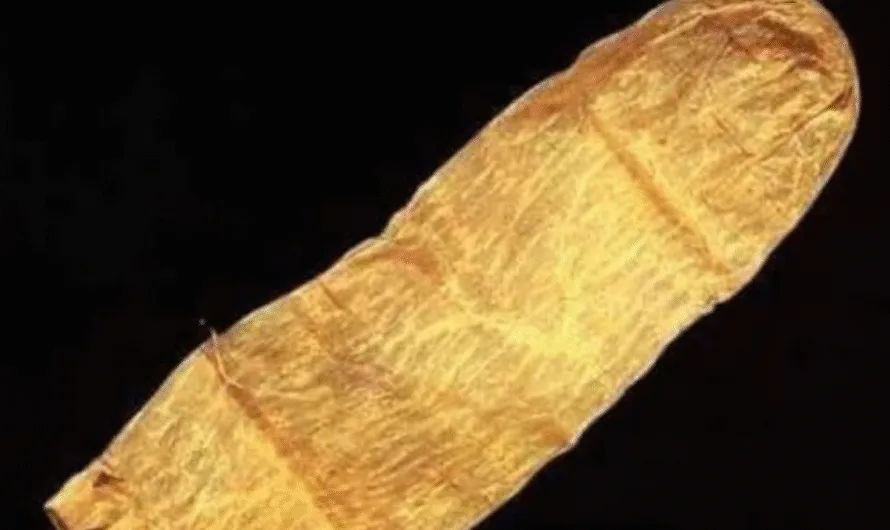 The 1640 Lund Condom: A Fascinating Glimpse into 17th-Century Sexual Health