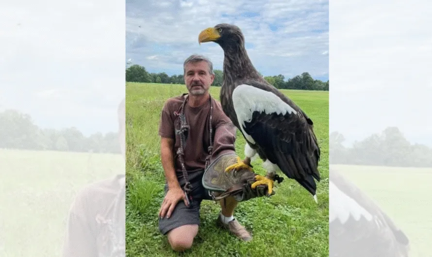 The Majestic Steller’s Sea Eagle: The Largest Eagle in the World