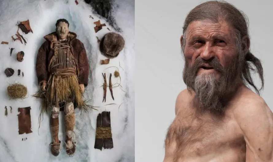 Ötzi the Iceman: The famous frozen mummy