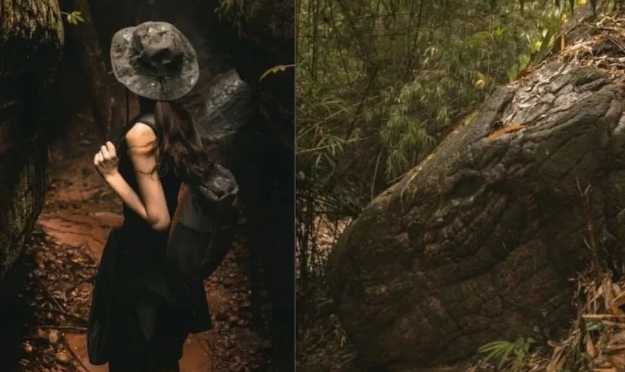 This Giant Snake Rock in Thailand Is a Fascination of Many — Is It an Actual Fossil?