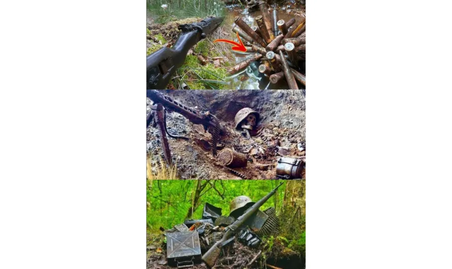 A Ghost from the Eastern Front: WWII MiG-3 Found with Pilot After 80 Years