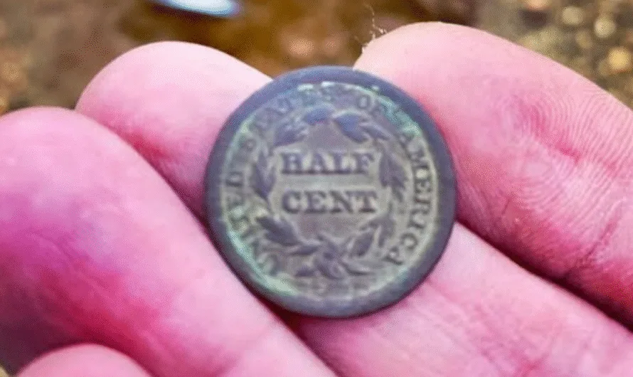 A Dream in the Dirt: Unearthing an 1849 Braided Hair Half Cent