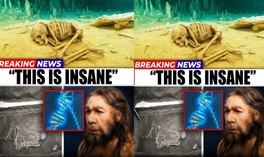 DNA from 30,000-Year-Old Cave in Mexico Could Redefine the Story of the First Americans.