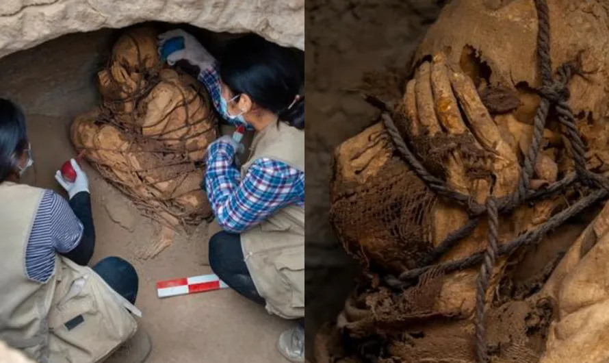 Ancient Mummy Unearthed in Peruvian Tomb with Hands Over Face