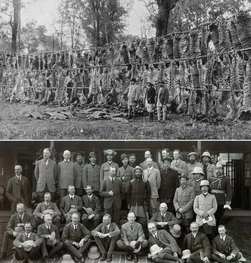 The king of the jungle: Archive pictures from George V’s hunting trip in India in 1911 show him posing alongside the tigers and rhinos he had killed