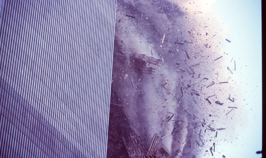 What Was in the World Trade Center Plume?