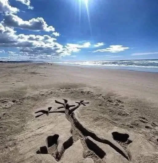 Wile E. Coyote Sand Sculpture: A Nostalgic Looney Tunes Meme on the Beach