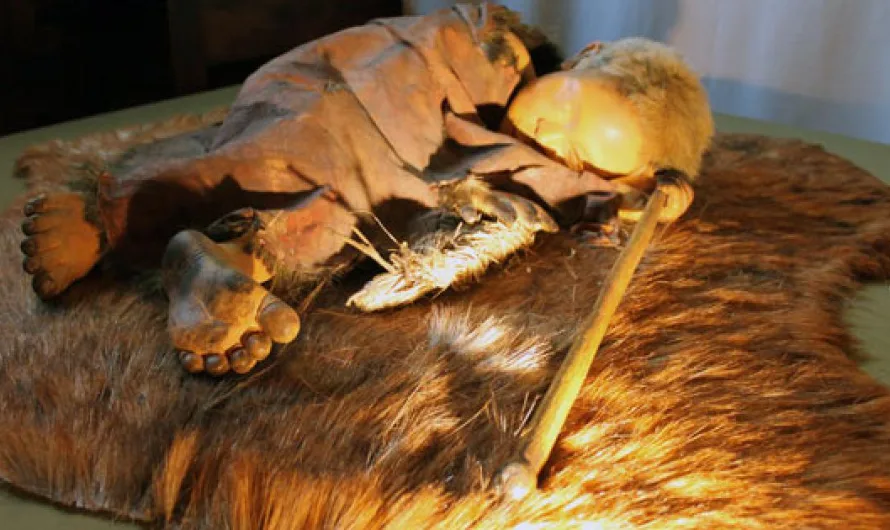 The Controversial Lapedo Child – A Neanderthal / Human Hybrid?