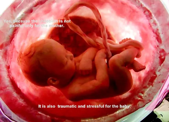 The Remarkable Phenomenon: How a Fetus Can Help Heal Its Mother’s Damaged Organs