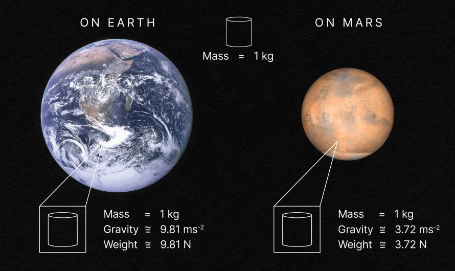 You’re Not Fat… You’re Just on the Wrong Planet! 🚀