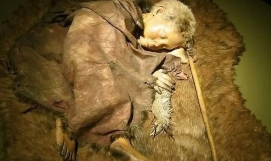 Hybrid of humans and Neanderthals – Boy from Lapedo reveals new secrets